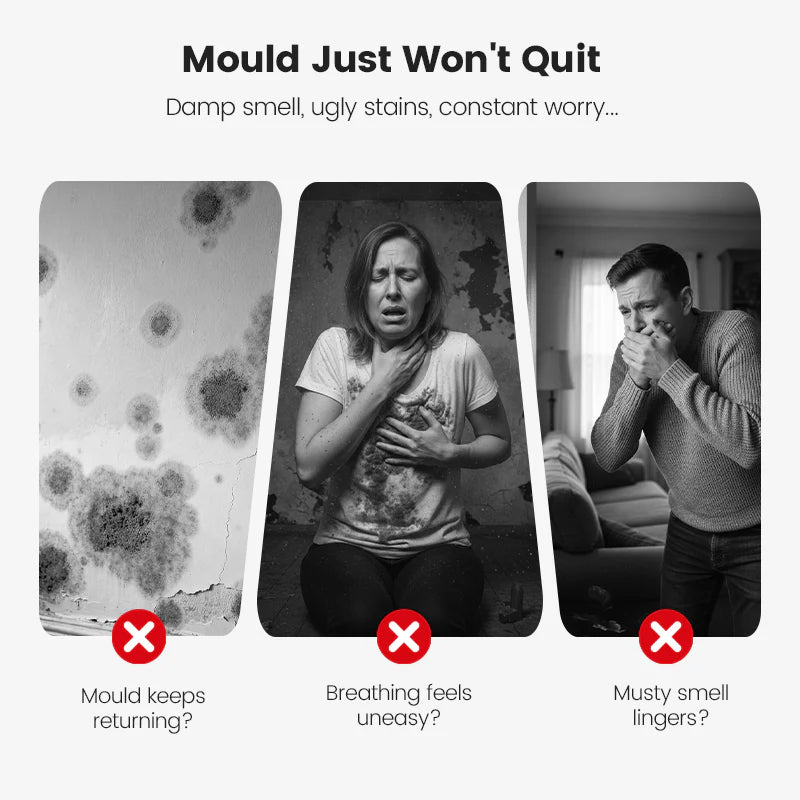🔥🛡️Highly Effective Mould Removal Spray - Prevents Mould Regrowth.🛡️Save your and your family's health🏠