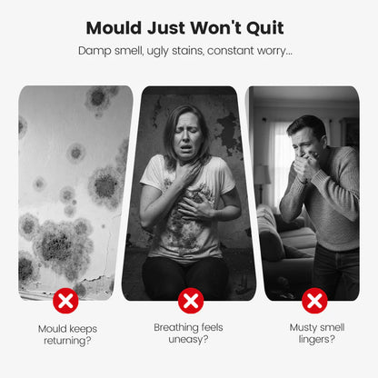 🔥🛡️Highly Effective Mould Removal Spray - Prevents Mould Regrowth.🛡️Save your and your family's health🏠