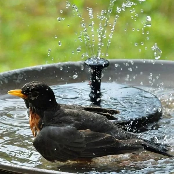 ⛲Solar Water Fountain Pump – 4 Nozzles for Bird Bath & Garden (16cm / 6.3in)