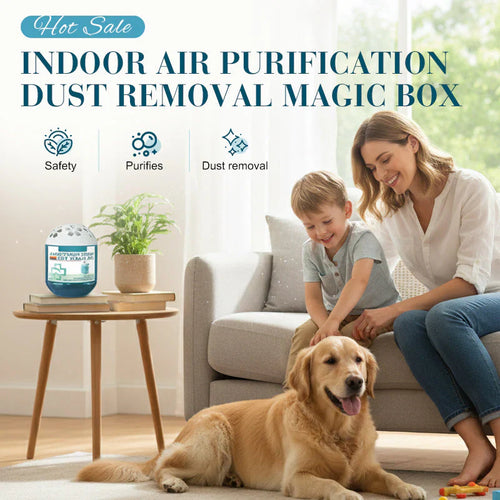 🔥2026 New Collection - Indoor Air Purification Dust Removal Magic Box🏠Bringing health to the family.👵👶